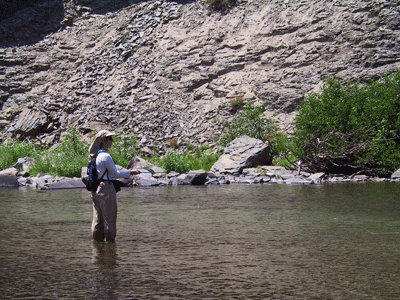 Photo: Leslie E. Frank, DPT, fly fishing on the San Joaquin River